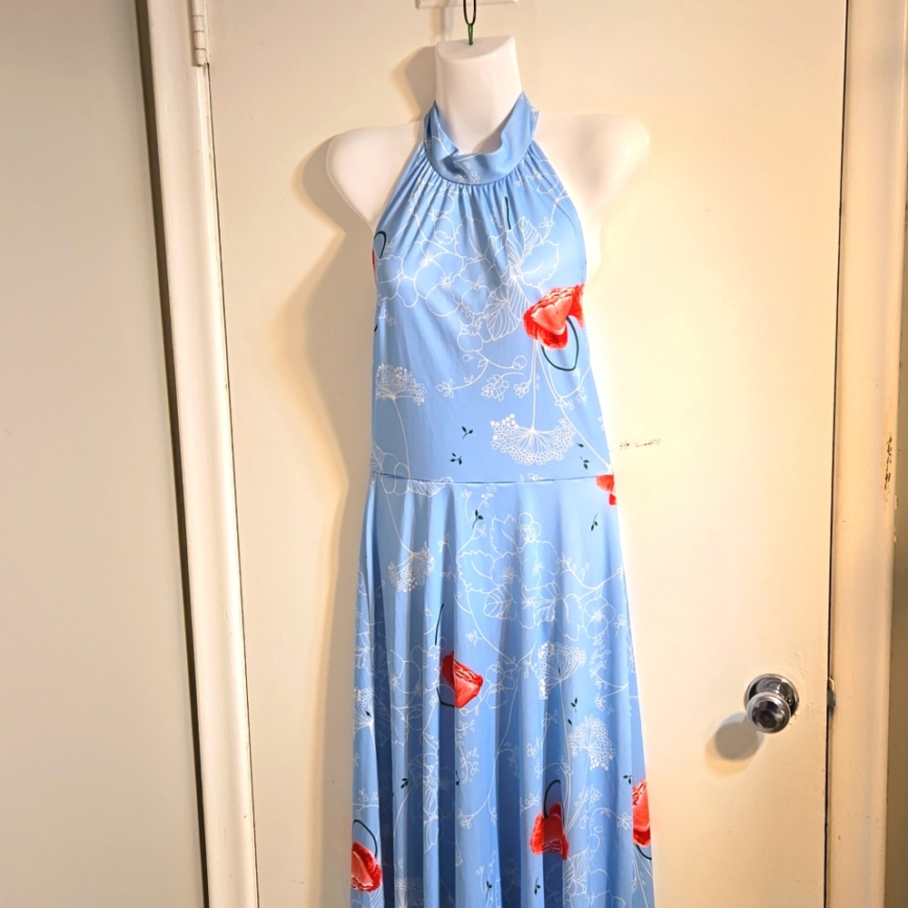 5) Vintage Maxi Dress Baby Blue Halter